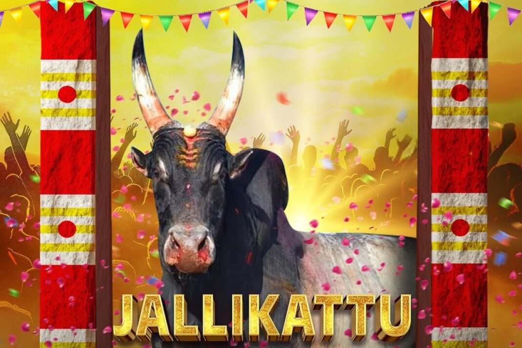 Jallikattu 2025