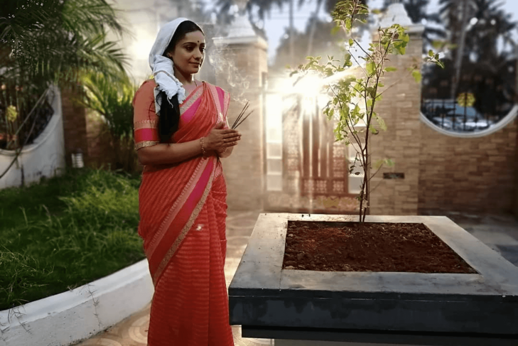 Meera Vasudevan in serial